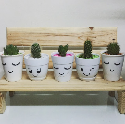 Natural cactus planted  in porcelain jars - صبار طبيعي مزروع  بقوار بورسيلان