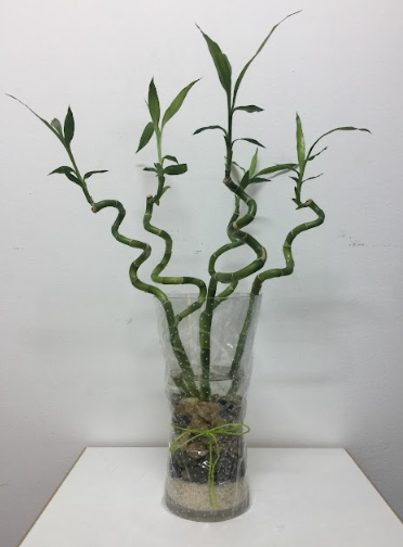 Bamboo sticks  with glass vase- أعواد البامبو مع  فازة زجاجية